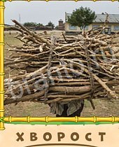 Птица-Говорун ответы на игру 7 букв