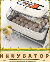 ответы на игру Птица-Говорун уровень