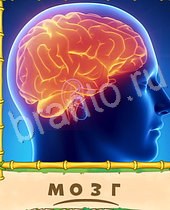 Птица говорун 4 буквы. Птица говорун 55 уровень. Игра птица говорун. Птица говорун 4 буквы. Сигма образный отвал бульдозера.