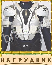 Птица-Говорун ответы на игру 9 букв