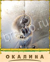 Птица-Говорун ответы на игру 7 букв