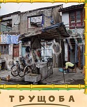 Птица-Говорун ответы на игру 7 букв