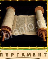 Птица-Говорун ответы на игру 9 букв