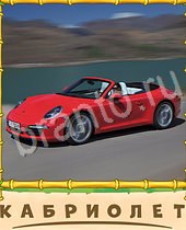 ответы на игру Птица-Говорун уровень