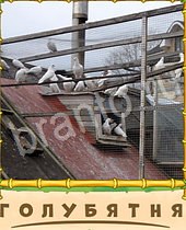 подсказки на игру Птица-Говорун 9 букв