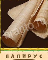 ответы на игру Птица-Говорун бумага, свёртки