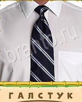 Птица-Говорун ответы на игру 7 букв белая рубашка полоски