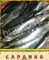 Птица-Говорун ответы на игру 7 букв рыба