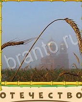 ответы на игру Птица-Говорун все картинки