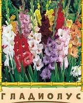 Птица-Говорун ответы на игру 9 букв цветы