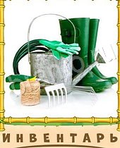 ответы на игру Птица-Говорун резиновые сапоги, ведро, грабли