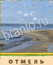 ответы на игру Птица-Говорун уровень залив вода песок берег
