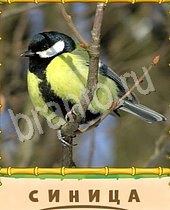 ответы на игру Птица-Говорун желтая птица