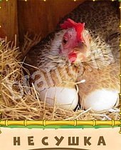 ответы на игру Птица-Говорун курица с яйцами