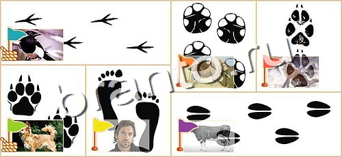 решебник на игру Расставляйка уровень 92