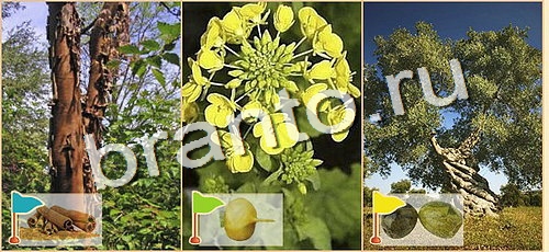 Расставляйка решения уровень 93