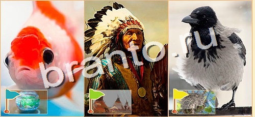 Расставляйка игра в одноклассниках помощьуровень 96