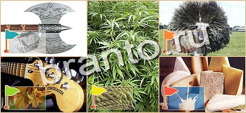 игра Расставляйка ответы в одноклассниках на Уровень 101