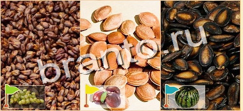 решебник на игру Расставляйка Уровень 102