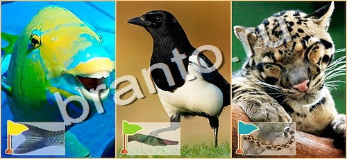 игра Расставляйка ответ на Уровень 118