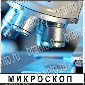 ВКонтакте Разгадай слово решебник к игре ВКонтакте Уровень 106