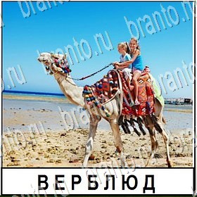 игра Разгадай слово в контакте подсказки Уровень 114