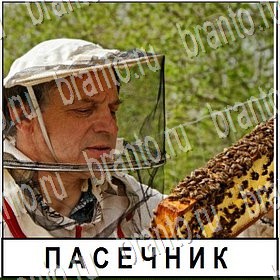 Игра Разгадай слово ВКонтакте решения Уровень 117