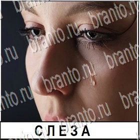 Разгадай слово все ответы Уровень 123