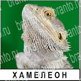 Разгадай слово ответы к игре Уровень 131