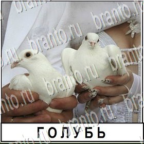 игра Разгадай слово все ответы Уровень 132