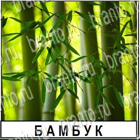 приложение Разгадай слово ответы Уровень 134