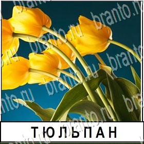 ВКонтакте игра Разгадай слово ответы Уровень 145