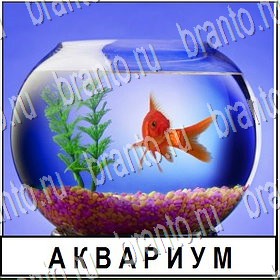 Разгадай слово Уровень 149