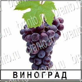 все уровни игры Разгадай слово Уровень 150 ответ