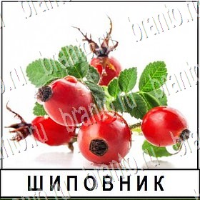 ВКонтакте Разгадай слово прохождение игры Уровень 154