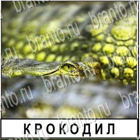 в контакте Разгадай слово ответы на игру Уровень 162