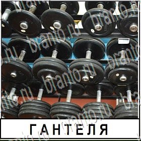 Разгадай слово ВКонтакте решения на игру Уровень 168