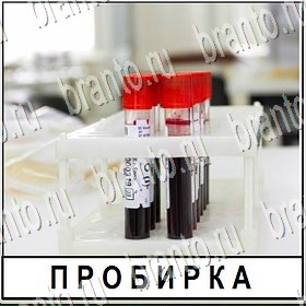 Разгадай слово ответы Уровень 193