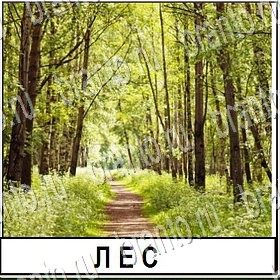 приложение Разгадай слово ответы Уровень 194