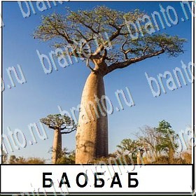 Разгадай слово ВКонтакте подсказки Уровень 213