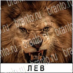 все решения к игре Разгадай слово Уровень 227