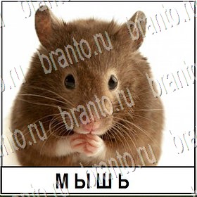 Разгадай слово Уровень 239