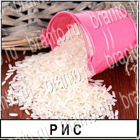 игра Разгадай слово все ответы Уровень 242