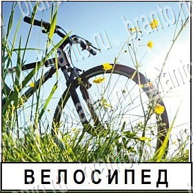 Разгадай слово ответы Уровень 251