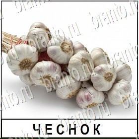 ВКонтакте Разгадай слово прохождение игры Уровень 254