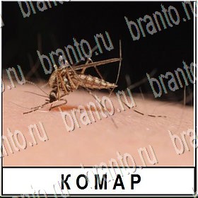 Разгадай слово ответы на все задания Уровень 257