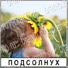 игра Разгадай слово ВКонтакте ответы Уровень 259