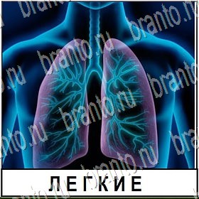 ответы на все уровни игры Разгадай слово Уровень 275