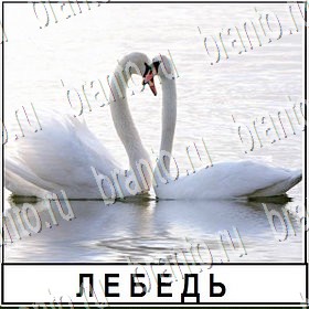 Разгадай слово ответы к игре Уровень 291