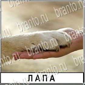 игра Разгадай слово все ответы Уровень 292